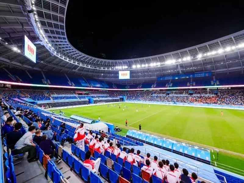 记者：阿莱受伤无缘非洲杯，上届决赛曾进球帮助科特迪瓦夺冠